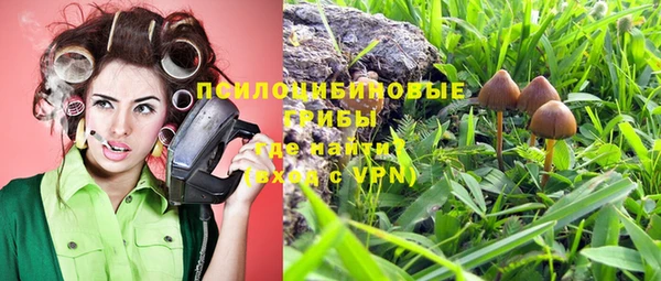 круглые Арсеньев