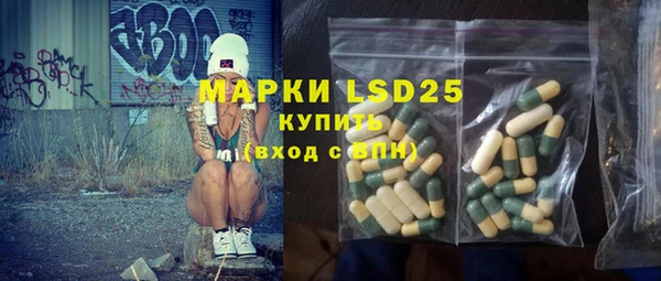стаф Аркадак