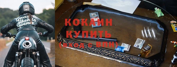 стаф Аркадак