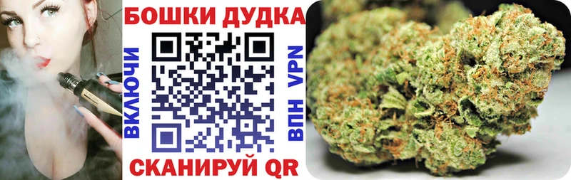 Бошки Шишки SATIVA & INDICA  Купить  Светлый 